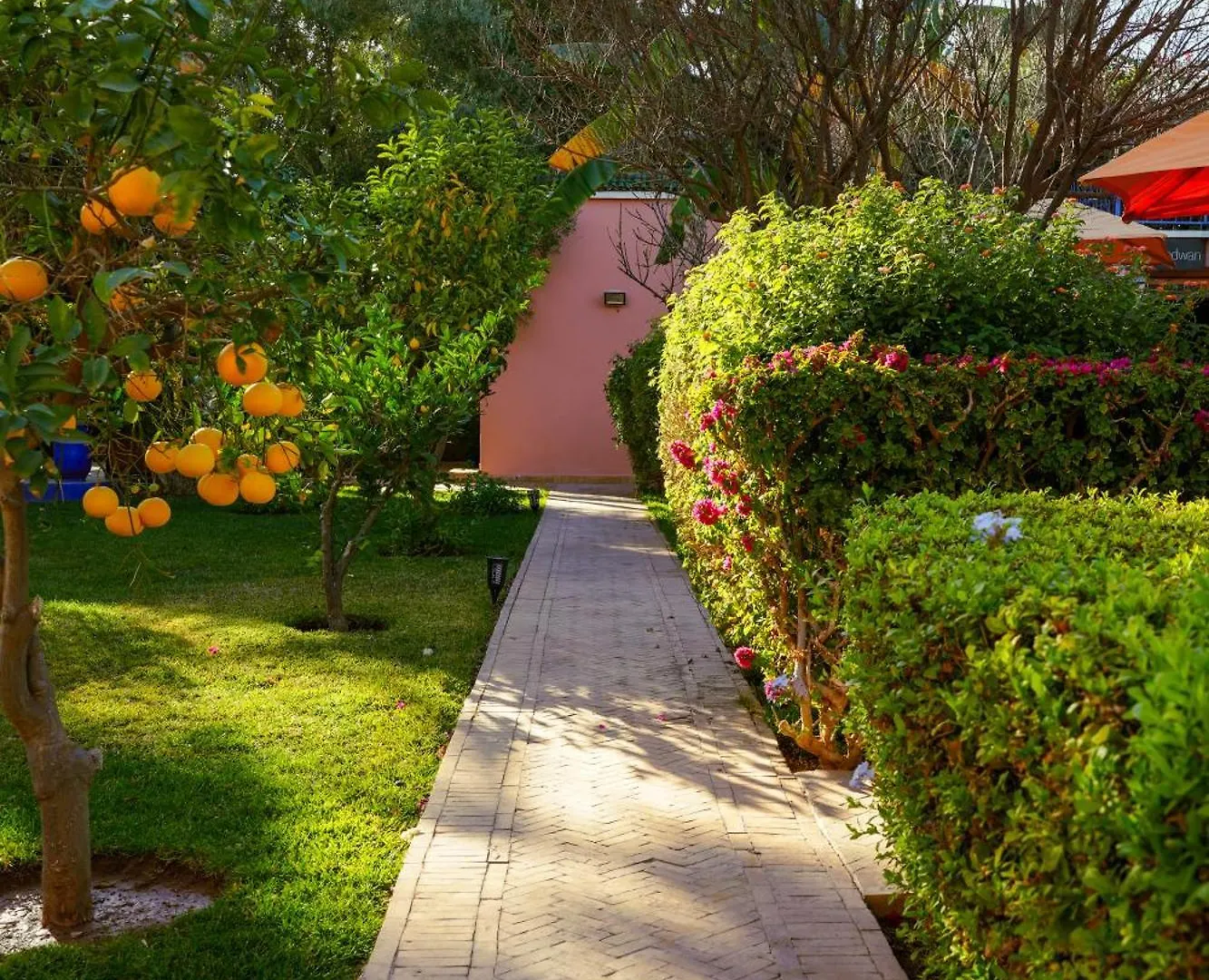 Riad Redwan Douar Caïd Layadi بيت ضيافة