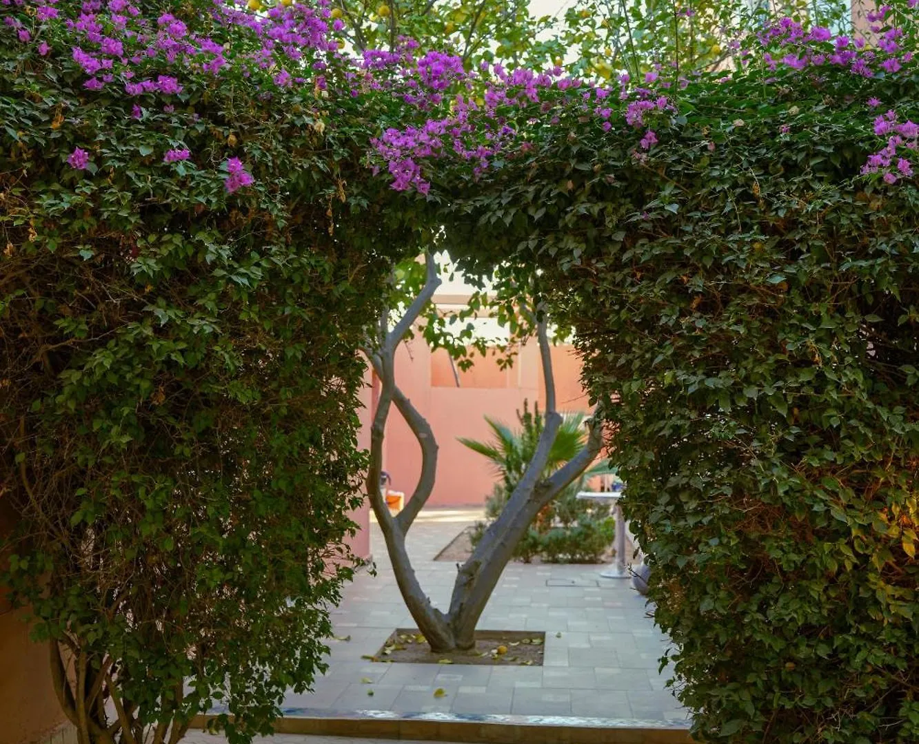 Riad Redwan Douar Caïd Layadi